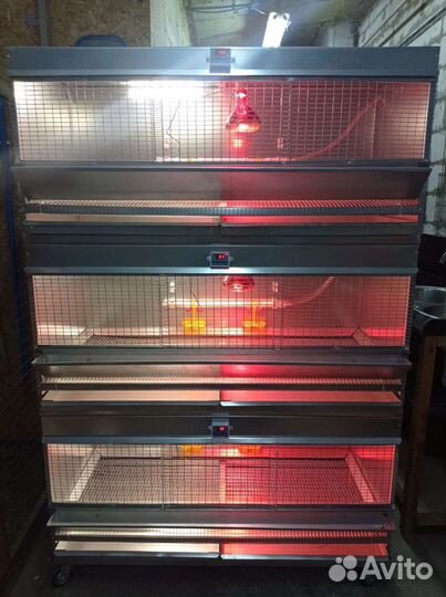 Брудер для цыплят