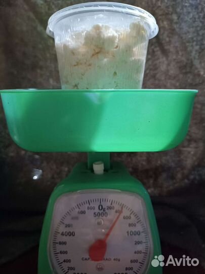 Козий творог