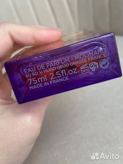 Molinard the basilic