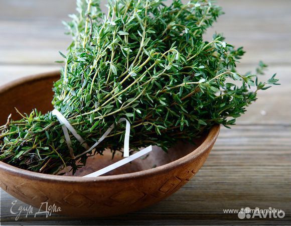 Чабрец, тимьян рассада