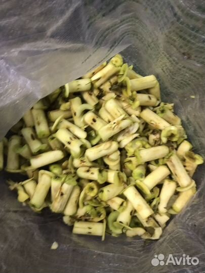 Пищевые отходы для животных