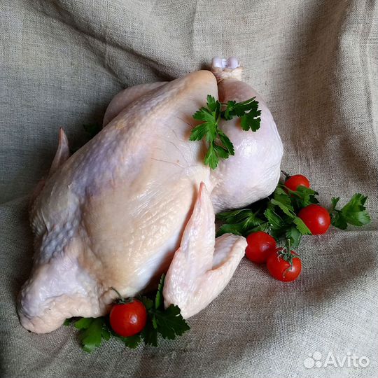 Мясо домашнего бройлера