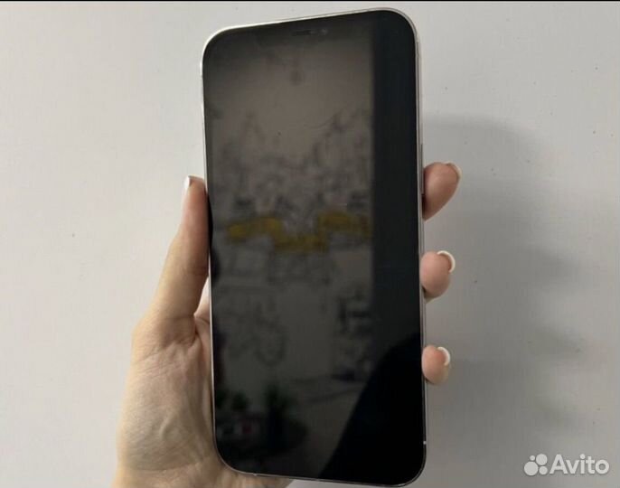 iPhone 12 Pro Max, 256 ГБ