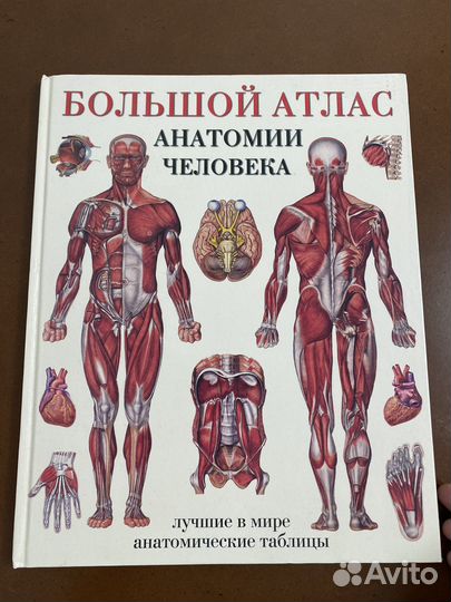 Книги по анатомии