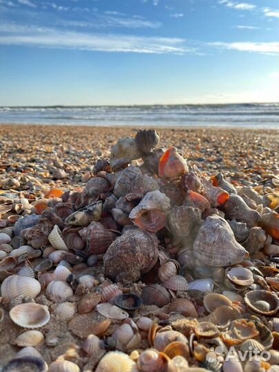 Путешествие Автобусом к морю