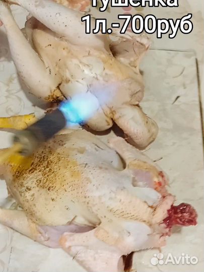 Яйцо домашнее Петухи