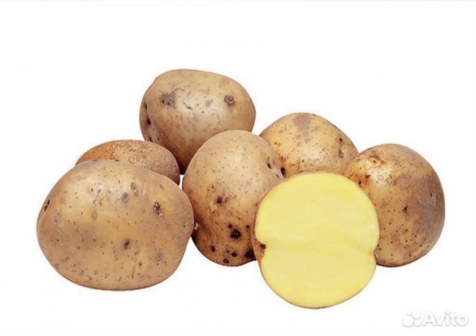 Картофель на еду