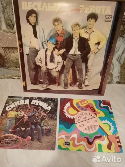 Виниловые пластинки