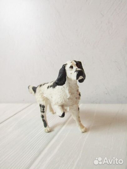 Сеттер для Ирины