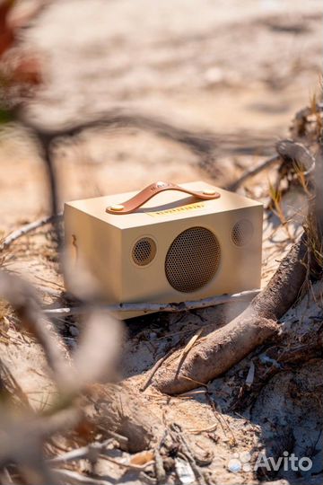 Портативная акустика Audio Pro Addon T3+ Peter Eug