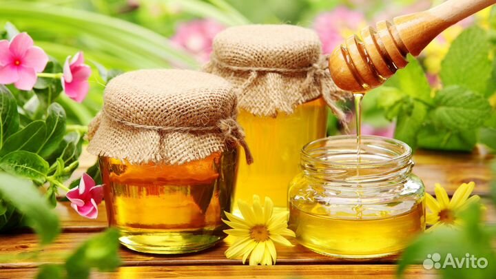 Мёд и продукты пчеловодства