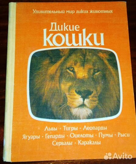 Дикие кошки