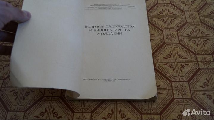 Вопросы садоводства и виноградарства Молдавии 1962