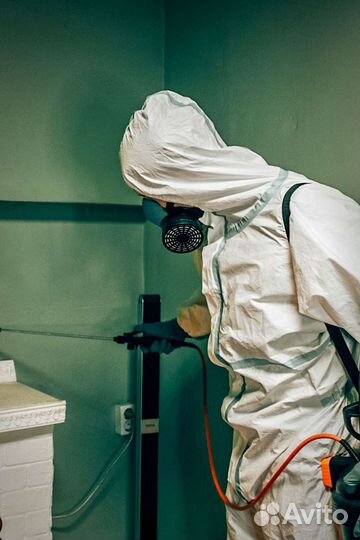 Дезинфекция, дератизация