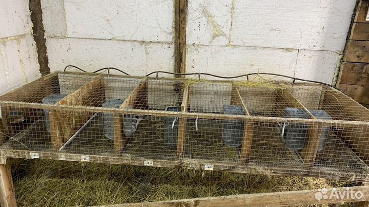 Клетка для кролика