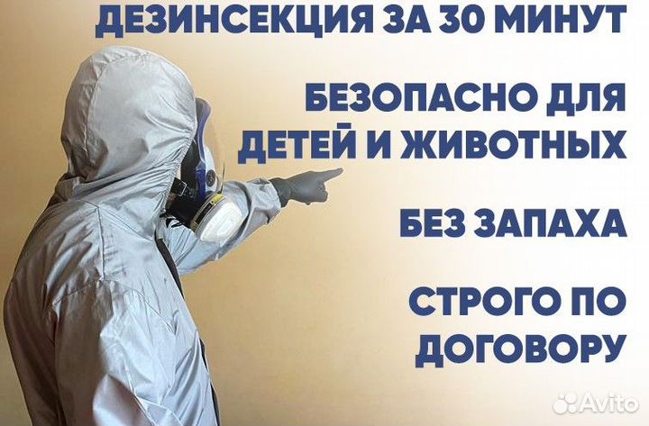 Травить клопов тараканов дезинфекция дезинсекция