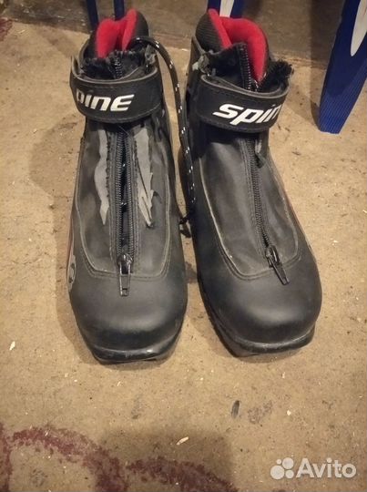 Беговые лыжи