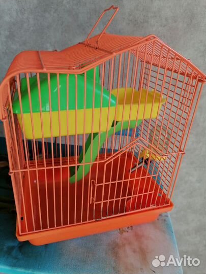 Клетка для грызунов