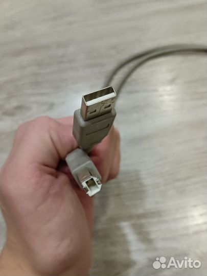 Мфу xerox workcentre 3119