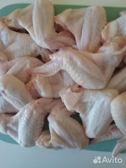Крылья курицы охлаждений каждый день по 15 кг