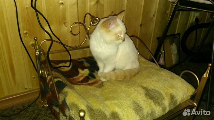 Лежанка для домашних животных