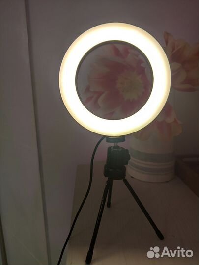 Лампа кольцевая