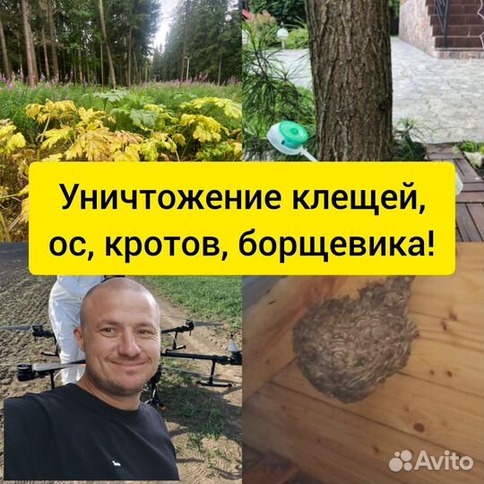 Уничтожение клещей, кротов, ос и борщевика