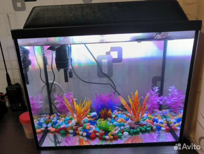 Аквариум
