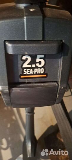 Мотор лодочный