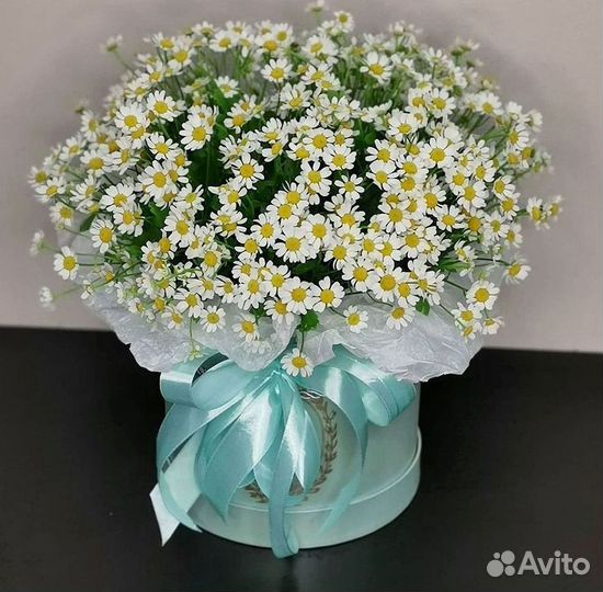 Букеты ромашек