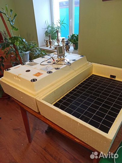 Автоматический инкубатор на 98 яиц