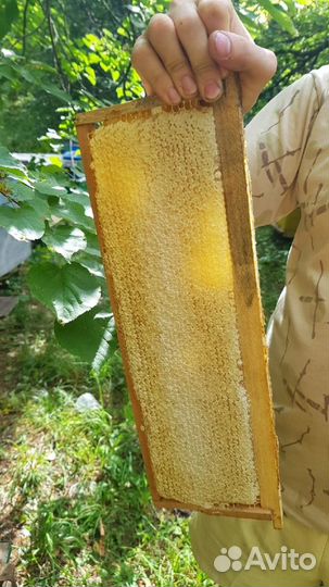 Продам мед оптом 2023