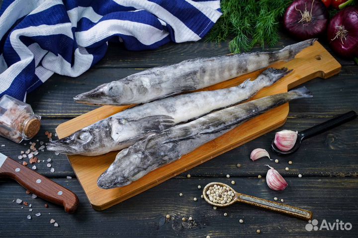 Ледяная рыба