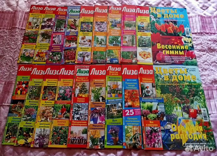 Журналы Лиза