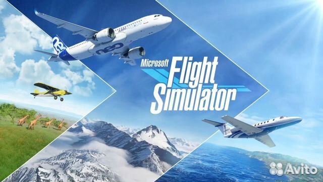 Microsoft Flight Simulator 2020 (PC)