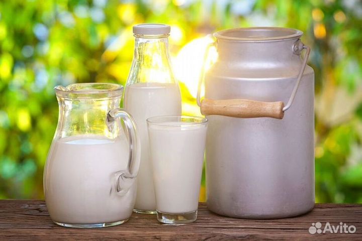 Молоко домашнее оптом