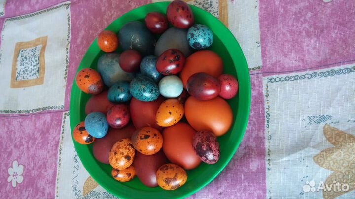 Перепелиное яйцо с бесплатной доставкой