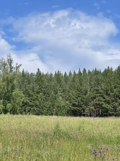 Участок 13 сот. (СНТ, ДНП)