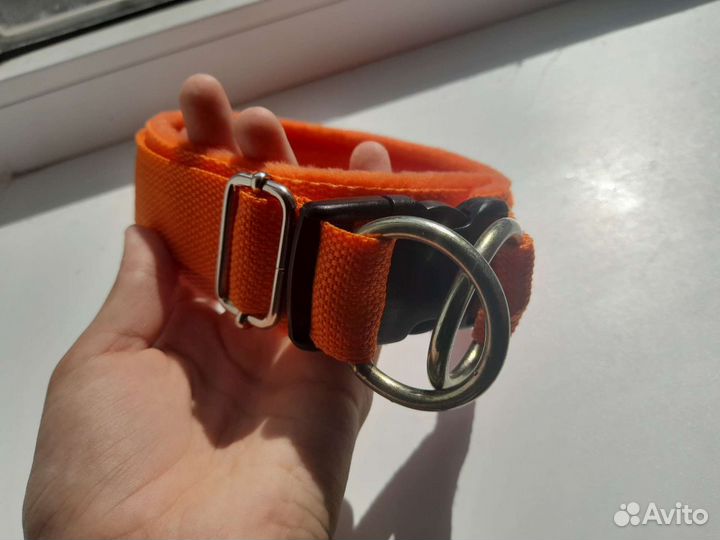 Амуниция для собак