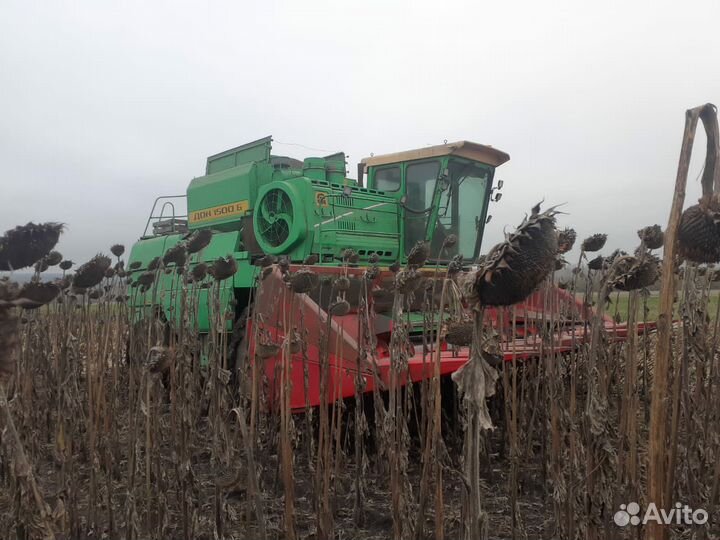 Услуги по уборки урожая комбайном