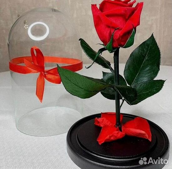 Роза в колбе