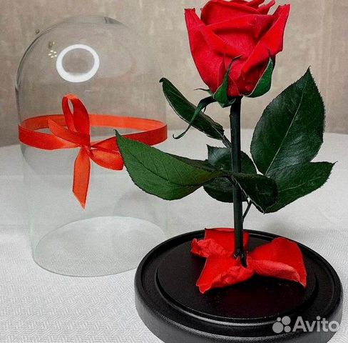 Роза в колбе