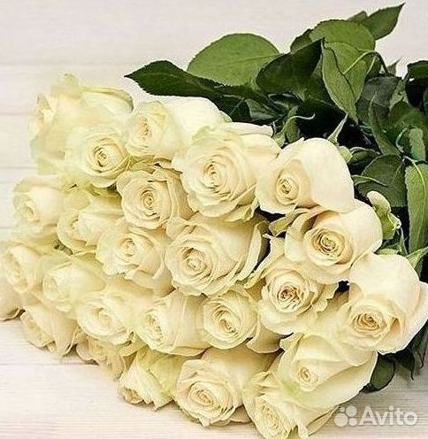 Розы высокие Доставка цветов