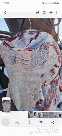 Мясо телятина, баранина