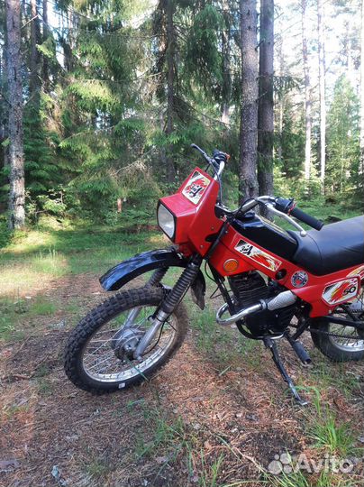 Зид Пилот 50