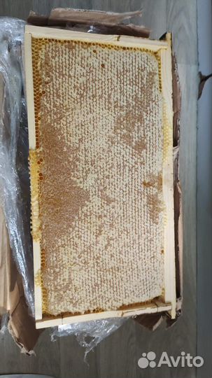 Меда Алтайские Оптом