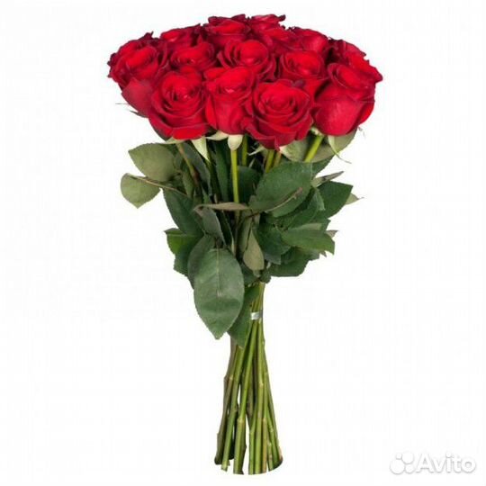 Букет из 15 роз Любовный переплёт 70 см