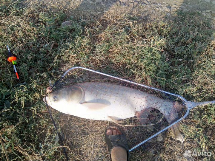 Технопланктон(Natural) от производителя