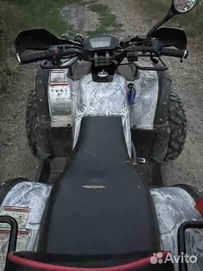 Квадроцыкл гризли 250 кордан