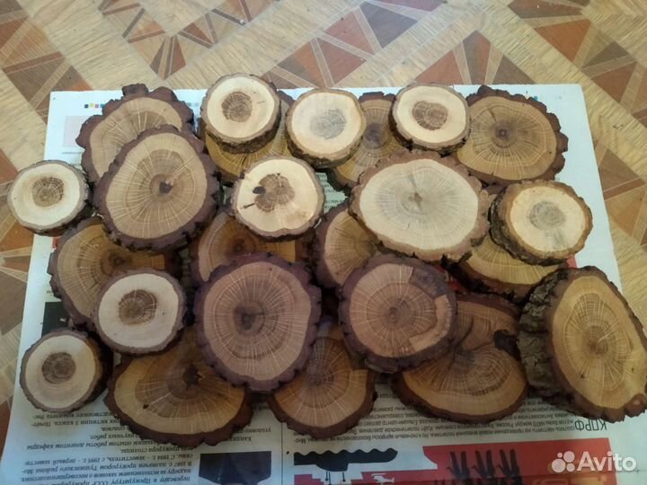 Торцевые спилы деревьев